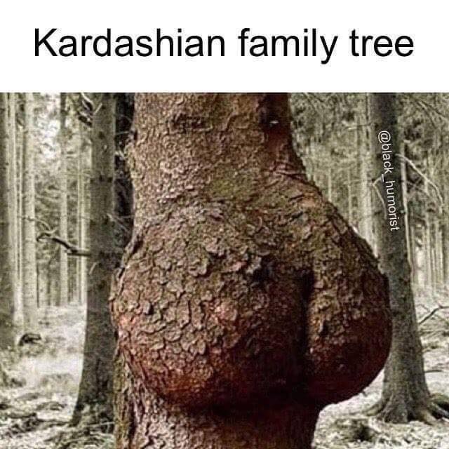 Kardashian family tree.jpg