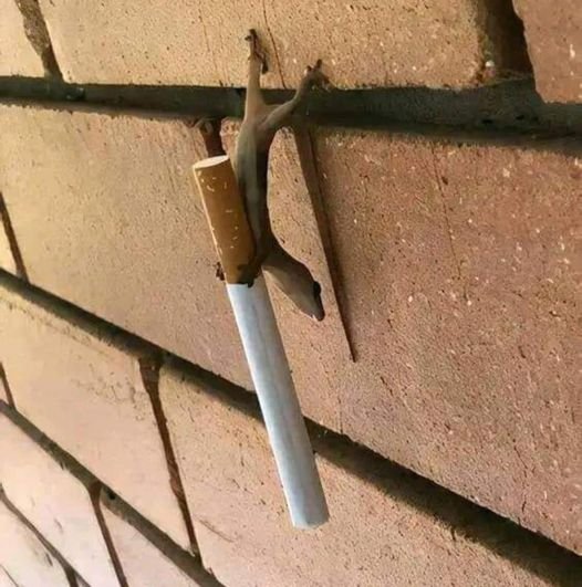 Lizard holding cigarette.jpg