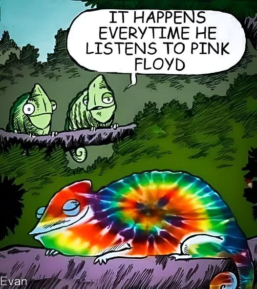 Lizard pink floyd.jpg