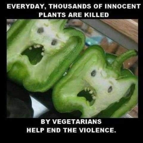 plants killed by vegans.jpg