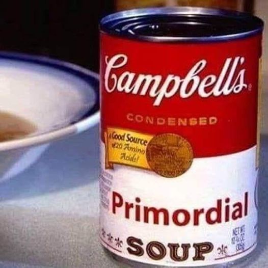 Primordial soup.jpg